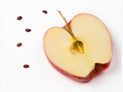 Never Eat The Seeds of Apples. Here’s why!