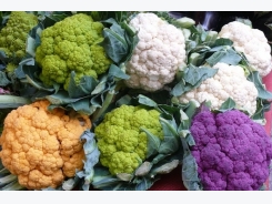 Cauliflower Cultivation Information Guide