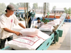 Philippines likely to import more rice from VN