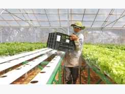 Japan leads agriculture trade mission to Vietnam