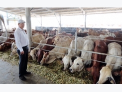 Cattlemen look to imports to meet growing demand for beef