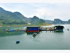 Nuôi cá tại lòng hồ thủy điện, thu về 5 tỷ đồng mỗi năm