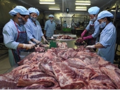 Vietnam, Denmark share experience in food safety
