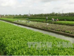 Tra Vinh calls for investment in industrial, agricultural projects