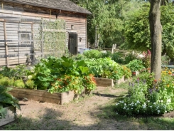 10 Smart Ways to Garden on a Budget