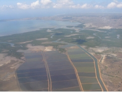 What is biodiversity and its relevance to aquaculture certification?