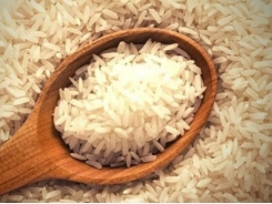 An Giang: rice export up in both volume, value