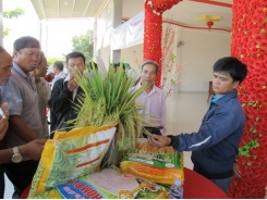 Thơm RVT và Đài Thơm 8 mở hướng đi mới cho Tây Nguyên