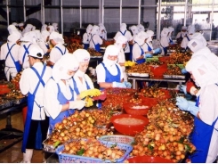 Fruit exports top concern for provinces