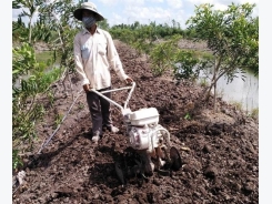 Nguyên tắc 4 đúng khi bón vôi