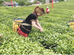 The exports of agricultural products worth billion dollars slide down