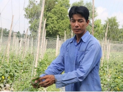 Tan Uyen Farmers’ Society actively supports farmers