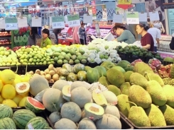 Vietnam’s veggie exports stage strong growth