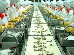 Seafood exports target US$10 billion this year