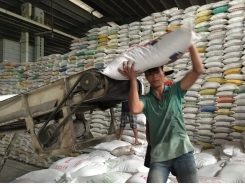 Vietnam wins bid to supply 130,000 tons of rice to Philippines