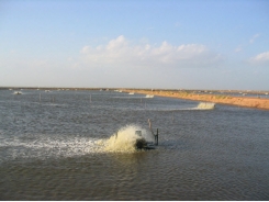 Why water mixing and movement is key in aquaculture systems