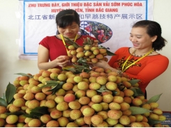 Seeking markets for lychee fruit