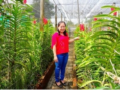 Thu nhập 400 triệu đồng/năm từ lan