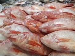 Evaluating effects of organic acids in Nile tilapia feed