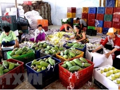 Vietnam imports 451 million USD worth of fruit, vegetable in 4 months