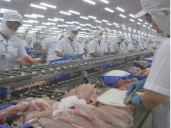 Local seafood traders told to brace for China’s stringent standards