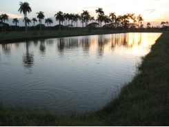 Factors affecting efficiency of commercial fertilizers in aquaculture