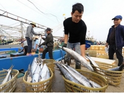 Fisheries sector enjoys great start to year