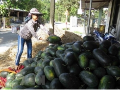 Vietnamese farm produce seeks to reach French customers