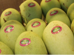 Fruit farmers encouraged to apply GAP standards