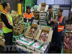 Fruit and veg exports fall 9.3 percent in Q1