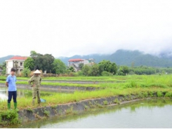Tuyên Quang develops sustainable aquaculture
