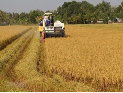 Universities, firms join hands in training high-quality agriculture workforce