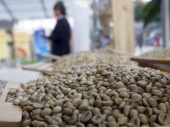 Vietnam's Jan-April coffee exports at 629,000 tonnes, down 13.5 pct y/y