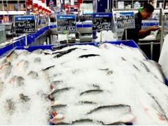 Costs cause seafood firms to sink