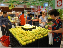 Vietnamese mangoes on the go: US licenses imports