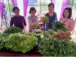 Ethnic women find success growing organic vegetables