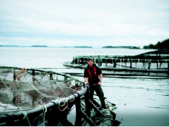 Salmon farmers welcome breakthrough legislation
