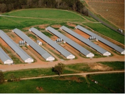 Poultry research farm expansion increases availability, capacity