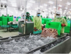 Xử lý nước thải chế biến thủy sản bằng công nghệ SNAP