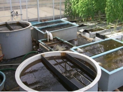 A Guide to Recirculation Aquaculture - Part 4