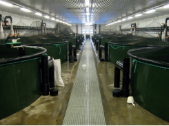 A Guide to Recirculation Aquaculture - Part 1