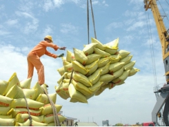 MoIT issues rice export quotas this month under PM permission
