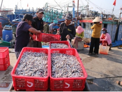 Seafood exporters lose half of all orders to pandemic