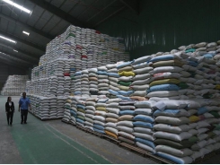 Finance Ministry aims to suspend ordinary rice exports