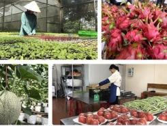 Vietnam and China seek to bolster agricultural trade amid COVID-19