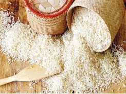 Rice products remains bright star among VN's farm export items