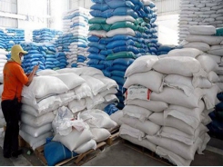 PM agrees to resume rice exports while ensuring food security