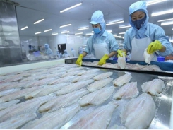 Seafood exporters floundering due to COVID-19