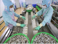 Seafood shipments returned by China surge