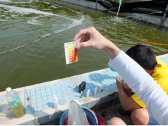 Six tips for water quality management in shrimp farming